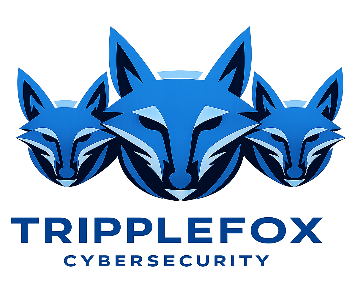 TrippleFox Cybersecurity